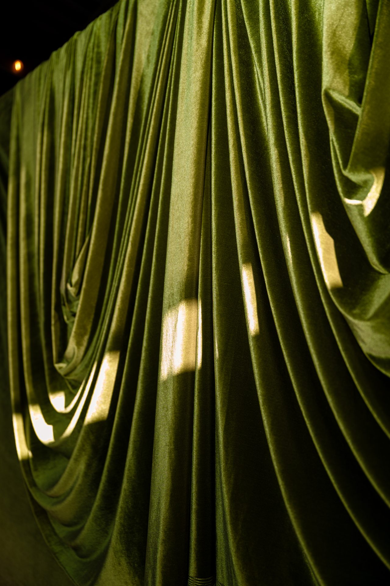 Sunlight catches the folds of deep olive velvet drapery.